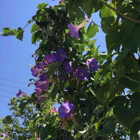 Apartamento Semina Archangelos (Rhodes)