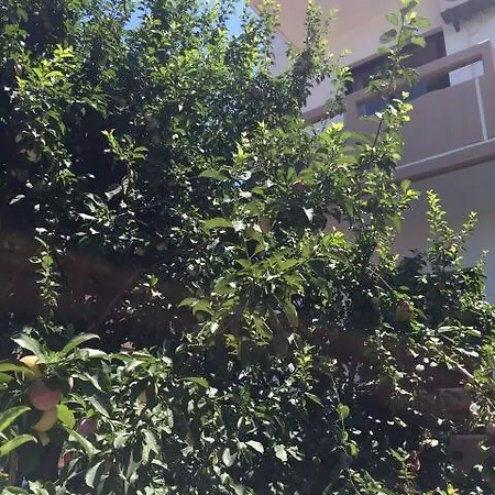 Apartamento Semina